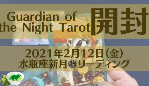 【ウェブ上最遅】水瓶座新月のエネルギーについてホロスコープ＋タロットカードを用いて細密リーディングしてみた